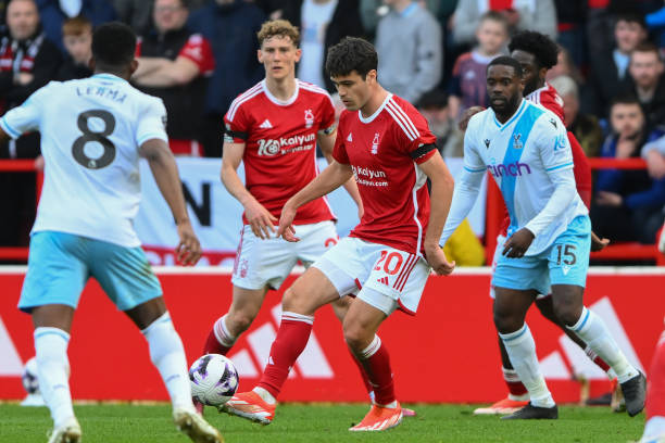 每每将小罗 每每将小罗